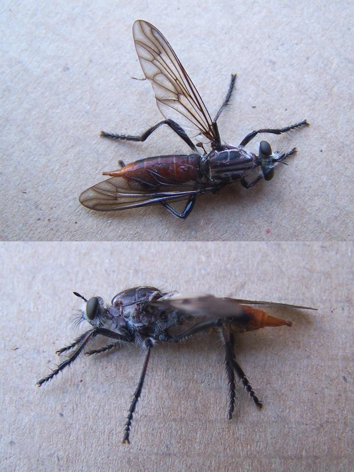 FIGURE 3 FIGURE 3